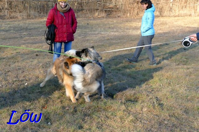 12.2.2022 - Barki und Koda